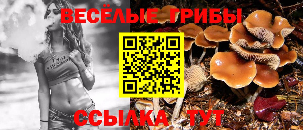 Псилоцибиновые грибы прущие грибы  Вход с VPN  где найти   Похвистнево 