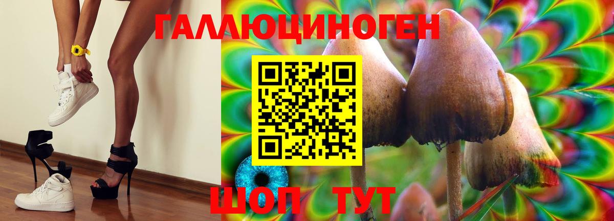 Галлюциногенные грибы прущие грибы Похвистнево